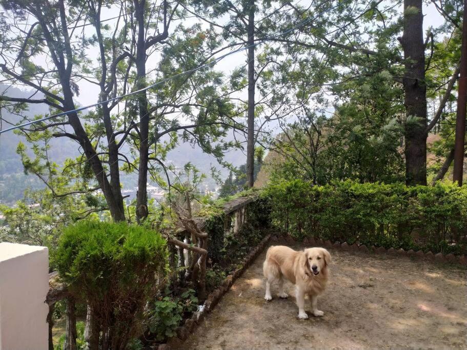 Whistling Thrush Cottage, Bhimtal ナイニタール エクステリア 写真