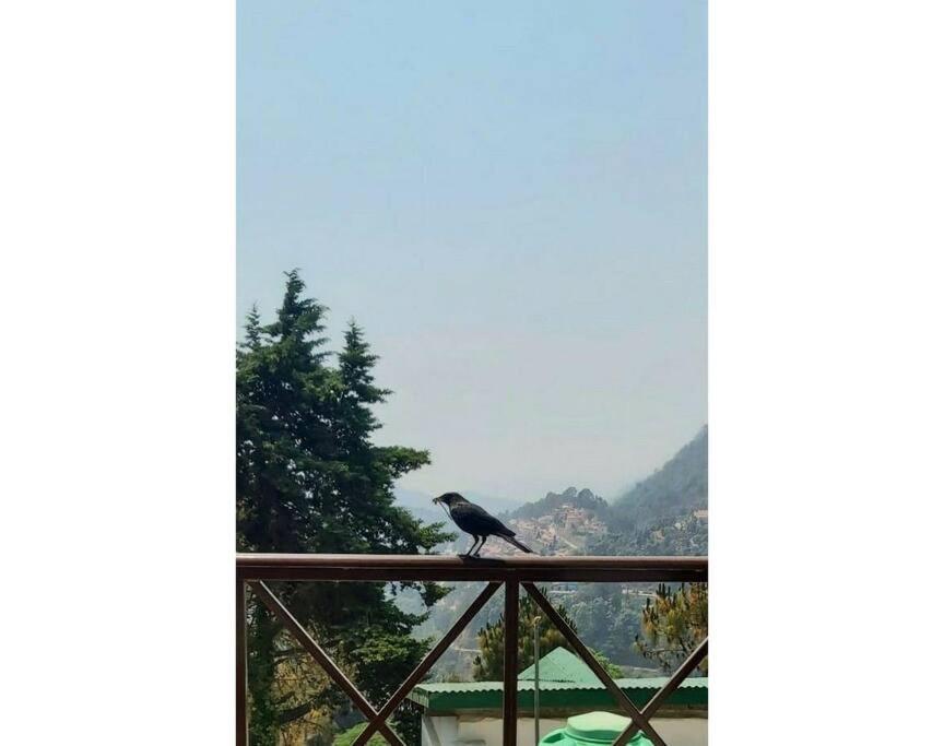 Whistling Thrush Cottage, Bhimtal ナイニタール エクステリア 写真