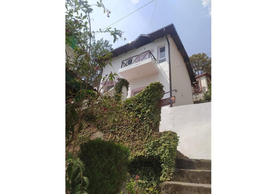 Whistling Thrush Cottage, Bhimtal ナイニタール エクステリア 写真