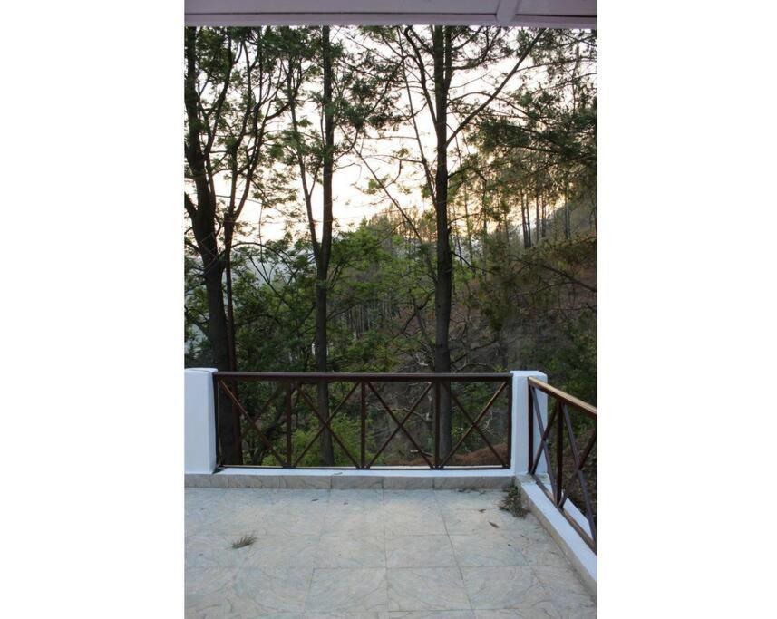 Whistling Thrush Cottage, Bhimtal ナイニタール エクステリア 写真